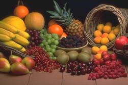 Foster Nutrition